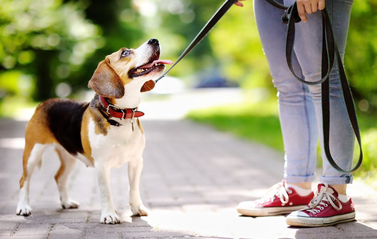 Quality Walk Time